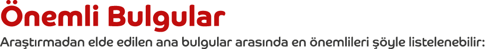  nemli Bulgular Ara t rmadan elde edilen ana bulgular aras nda en  nemlileri   yle listelenebilir 