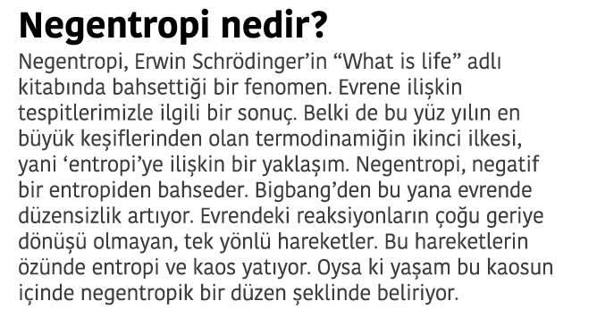 Negentropi nedir  Negentropi  Erwin Schr dinger in  What is life  adl  kitab nda bahsetti i bir fenomen  Evrene ili k   
