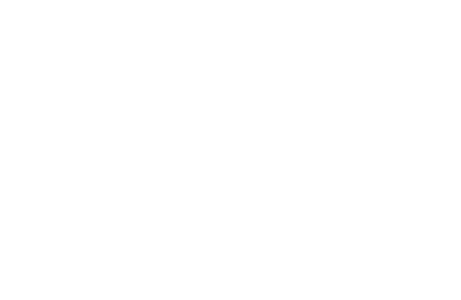 2020 yılının ilk çeyreğinde yaşanan Covid-19 pandemi krizinde, sınırlar arası geçişlerde yaşanan sorunların ve kısıtl   