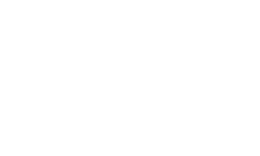 Tır şoförlerinin vize sorunu Avrupa ya yönelik dış ticaretimizi taşıyan profesyonel sürücülerimiz, uzun yıllardır viz   