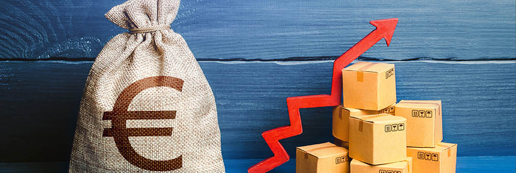 Euro money bag with boxes and up arrow. Good consumer sentiment and demand for goods. High sales. Production rise. Growing transportation prices. Income increase, acceleration and growing of economy.