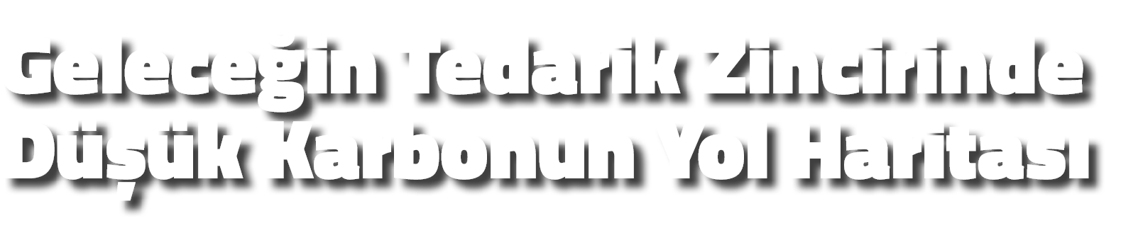 Gelece in Tedarik Zincirinde D  k Karbonun Yol Haritas 
