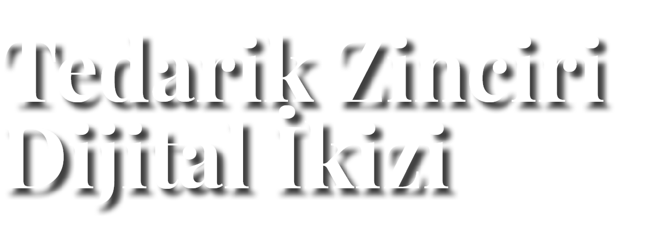 Tedarik Zinciri Dijital kizi